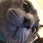 RIPruBBa's Avatar'