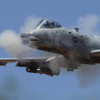 A10Phoenix's Avatar'