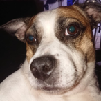 MaekiSpecki's Avatar'