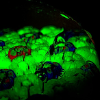 Barry_Gaming's Avatar'