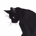 WoF-MingL-Ydj's Avatar'