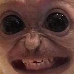 CACTUSJACK7942's Avatar'