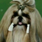 BehindUrScreen's Avatar'