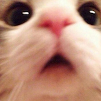 MoonAoOnce's Avatar'