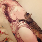 Cat_Sleeping's Avatar'
