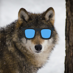 HLWolf_JUZ's Avatar'