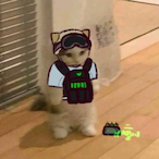 newbinde's Avatar'