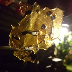 EKOLUx4's Avatar'