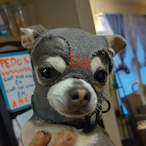 Ayo Dogoonmu's Avatar'