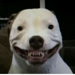 A3rdLumpInDaSac's Avatar'