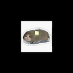 Killer_Knopf5's Avatar'
