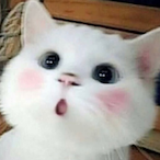 sabski.'s Avatar'