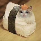 BIGflounder's Avatar'
