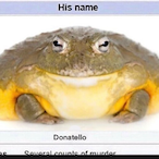 brioche.Roe's Avatar'