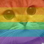 PIxeIsnIffa's Avatar'