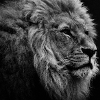 HunterAA7's Avatar'