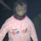 xSteve97x's Avatar'