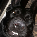 NickleNackle's Avatar'