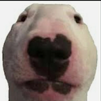 allabaguette's Avatar'