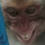 Smirfyman's Avatar'