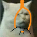 Sor_.'s Avatar'