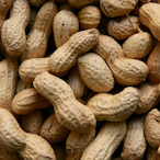K_PEANUT's Avatar'