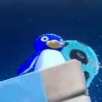 KittiSawftPawz's Avatar'