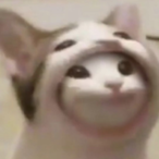 PogCat's Avatar'