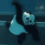 Errbeeola's Avatar'