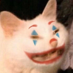 Bigfluffykittys's Avatar'