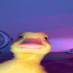 XDXDXXXDDDDD's Avatar'