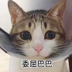 BaoYanJ's Avatar'