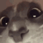 Laiserfish's Avatar'