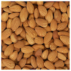 Sleepless_Nut's Avatar'