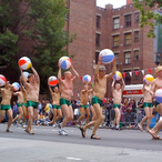 gaystapo's Avatar'