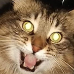 zIHorunge's Avatar'