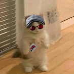 Weak-Hunter's Avatar'