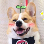 pupu_RR's Avatar'