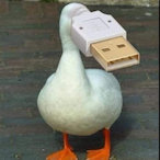WrongPurpose's Avatar'