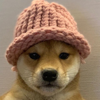 Agent.kuko's Avatar'