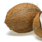TreeCoconut's Avatar'