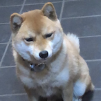 holalalala-_-'s Avatar'