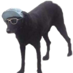 Welfare_'s Avatar'