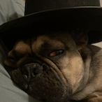 NotSnikez's Avatar'