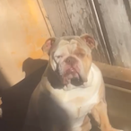 EasyClap_831's Avatar'