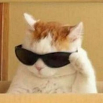 AphroDite_RF's Avatar'