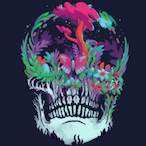 Hamza.SHN's Avatar'