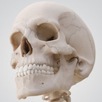 TruffleWolf's Avatar