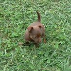 krakatos97's Avatar'