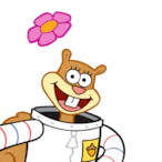Sandycheekss's Avatar'